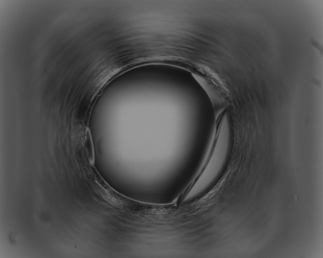 X0000092331177200710051309