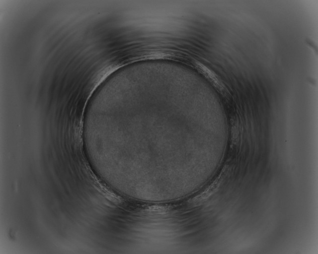 X0000092331178200710051309