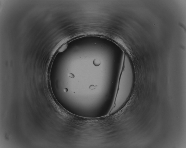 X0000092331181200710051309