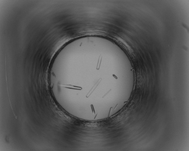 X0000092331182200710051309