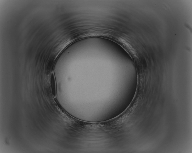 X0000092331185200710051309