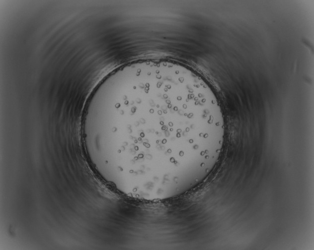 X0000092331186200710051309