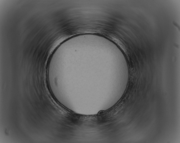 X0000092331187200710051309