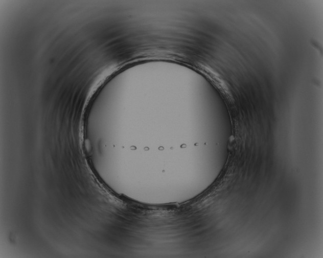 X0000092331188200710051309