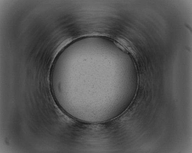 X0000092331189200710051309