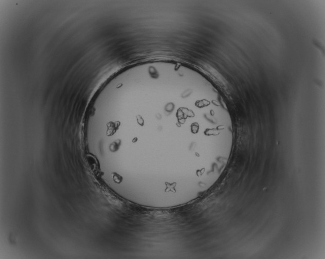 X0000092331190200710051309