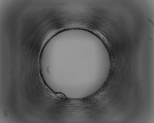 X0000092331191200710051309