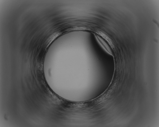 X0000092331193200710051309