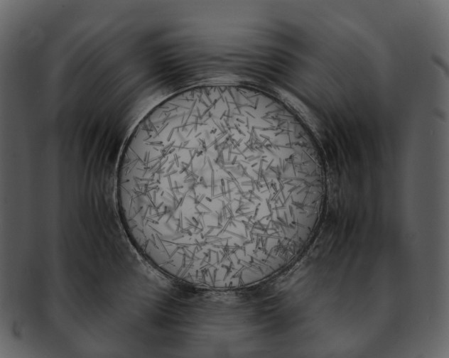 X0000092331194200710051309
