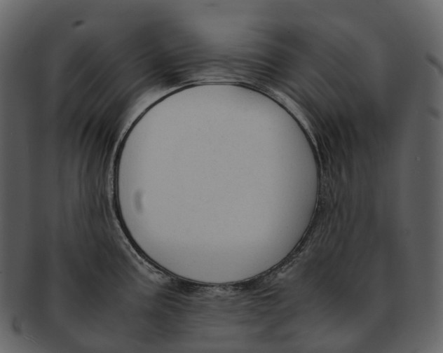 X0000092331195200710051309