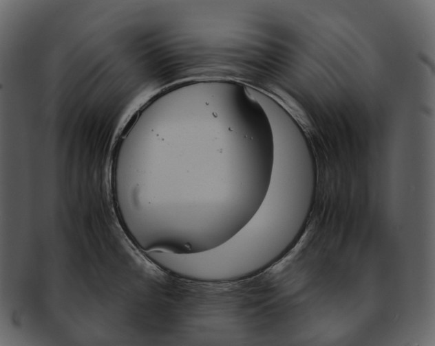 X0000092331196200710051309