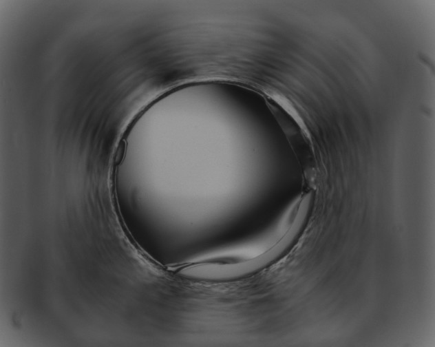 X0000092331197200710051309