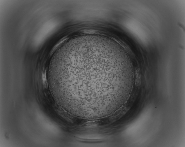 X0000092331198200710051309