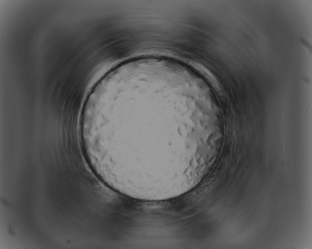 X0000092331199200710051309