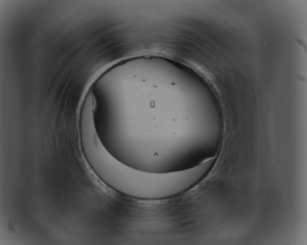 X0000092331200200710051309