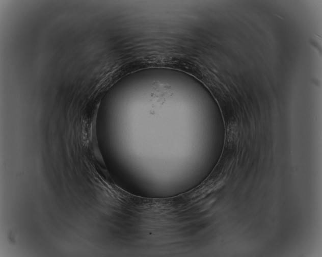 X0000092331202200710051308