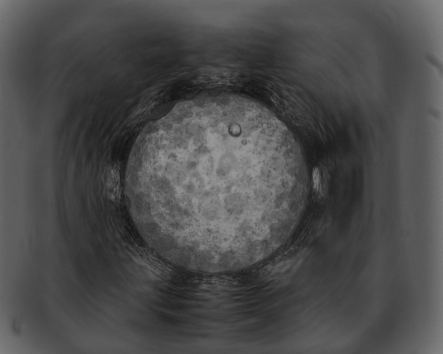 X0000092331203200710051308