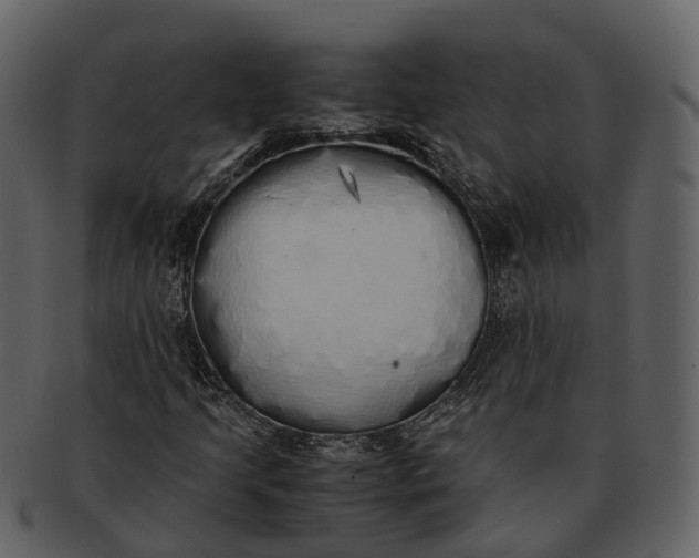X0000092331205200710051308