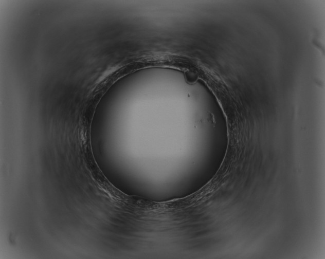 X0000092331206200710051308