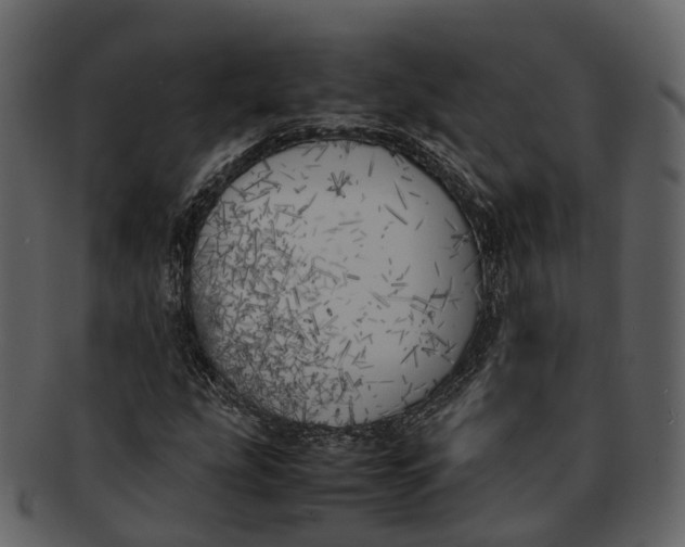 X0000092331207200710051308