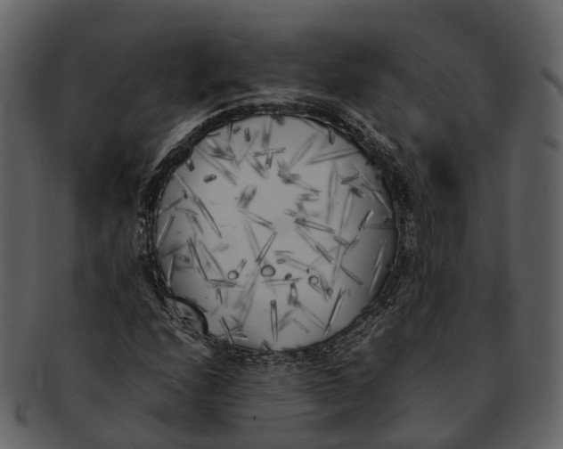 X0000092331208200710051308