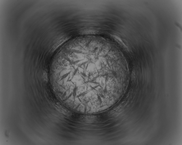 X0000092331209200710051308