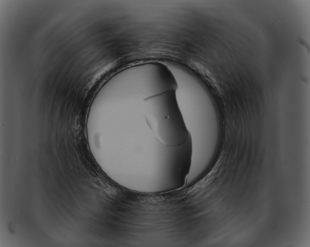 X0000092331210200710051308