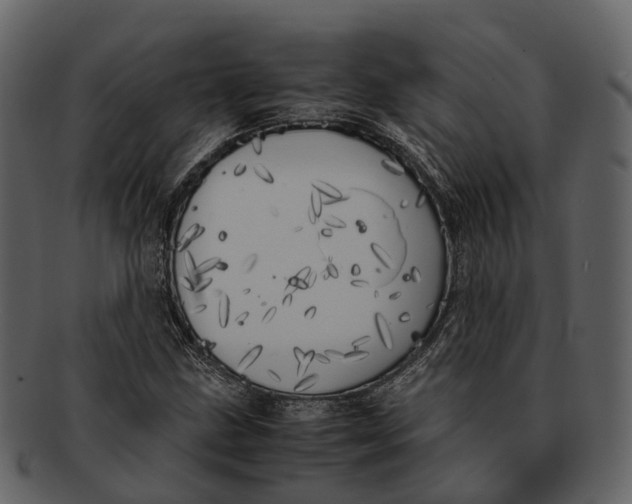 X0000092331211200710051308