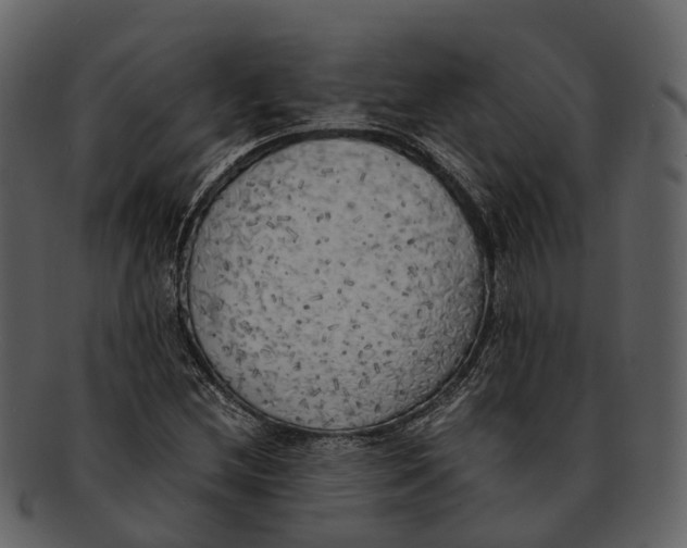 X0000092331212200710051308
