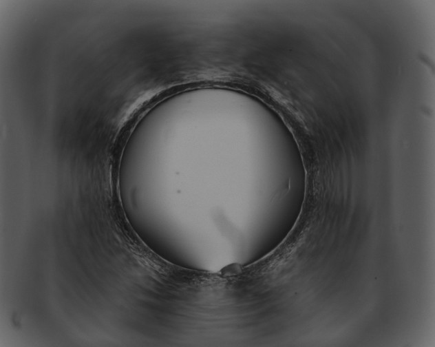 X0000092331214200710051309