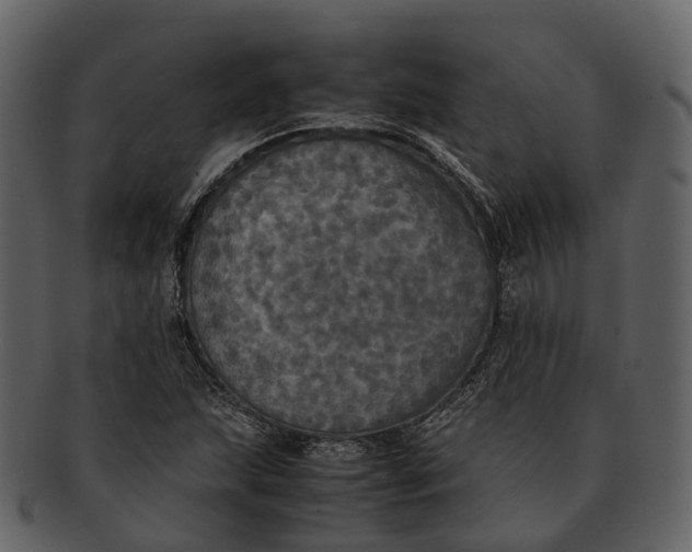 X0000092331215200710051309