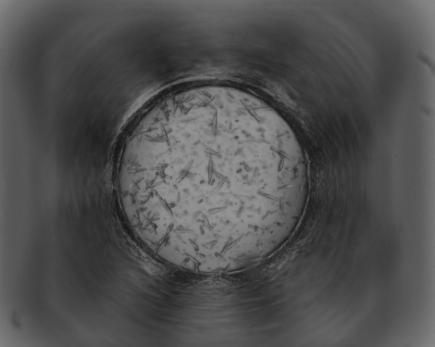 X0000092331216200710051309