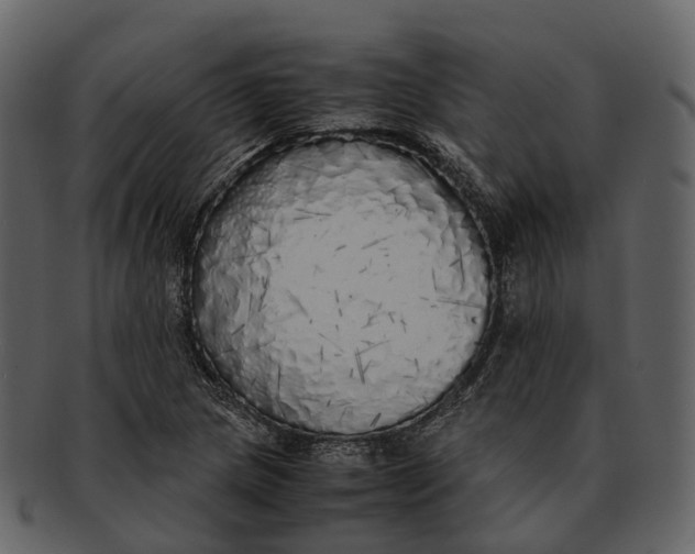X0000092331217200710051309