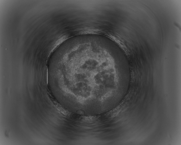 X0000092331219200710051309