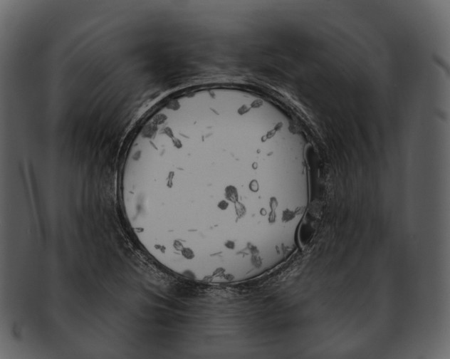 X0000092331220200710051309