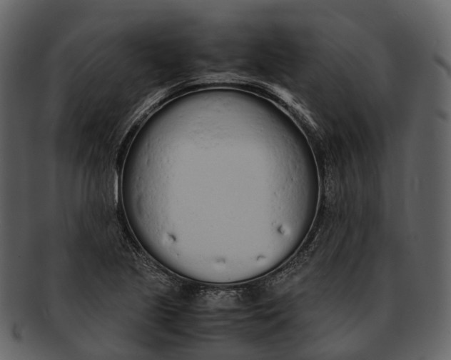X0000092331221200710051309