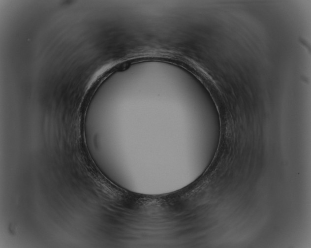 X0000092331222200710051309