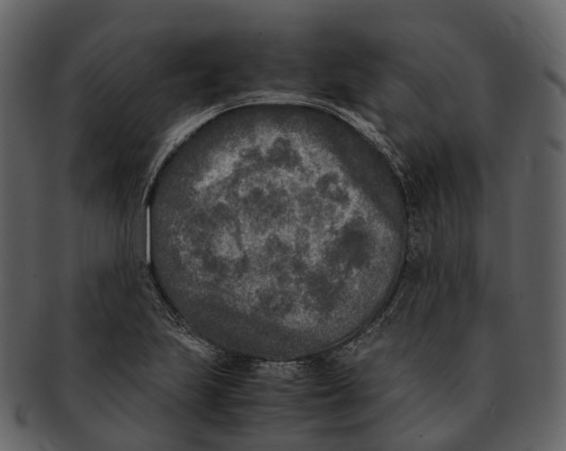X0000092331223200710051309