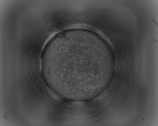 X0000092331224200710051309