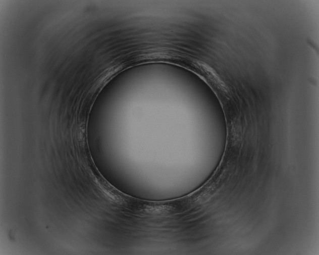 X0000092331225200710051309