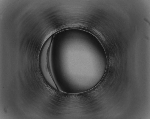 X0000092331226200710051309