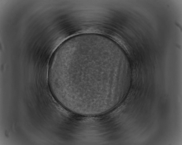 X0000092331228200710051309