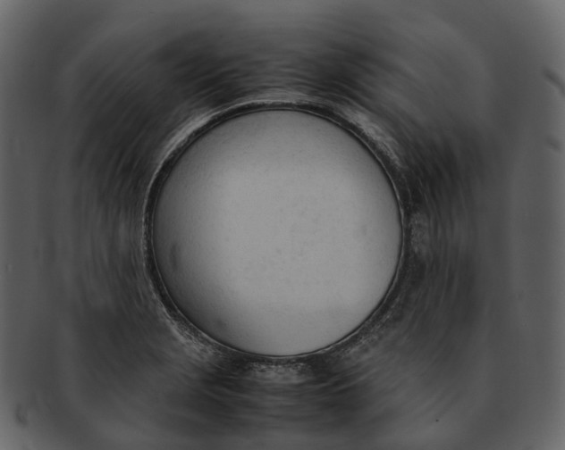 X0000092331229200710051309