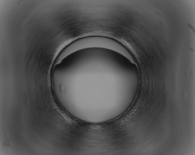X0000092331230200710051309