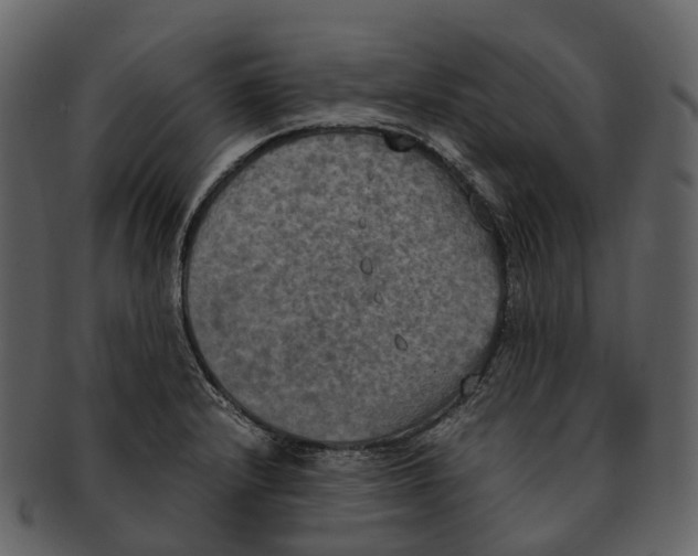 X0000092331232200710051309