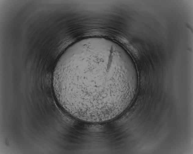 X0000092331233200710051309