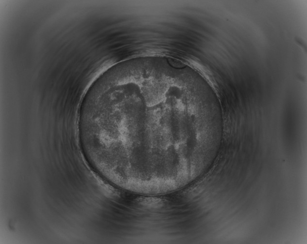 X0000092331235200710051309
