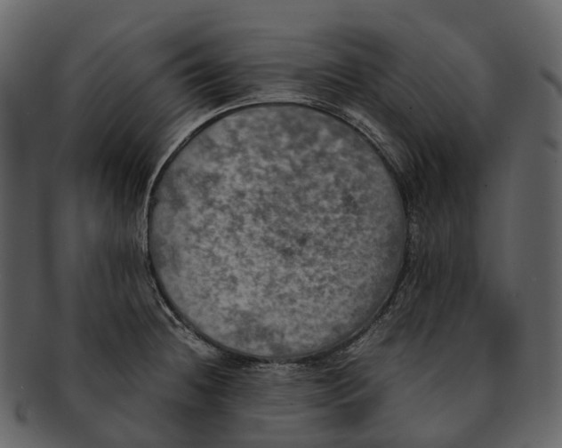 X0000092331236200710051309