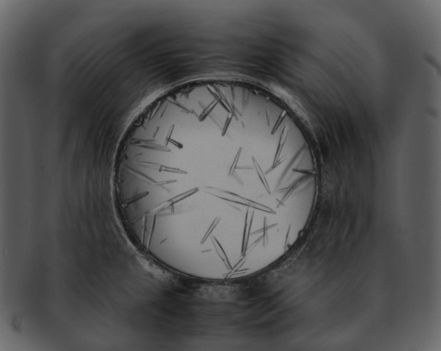 X0000092331237200710051309