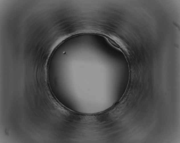 X0000092331238200710051309
